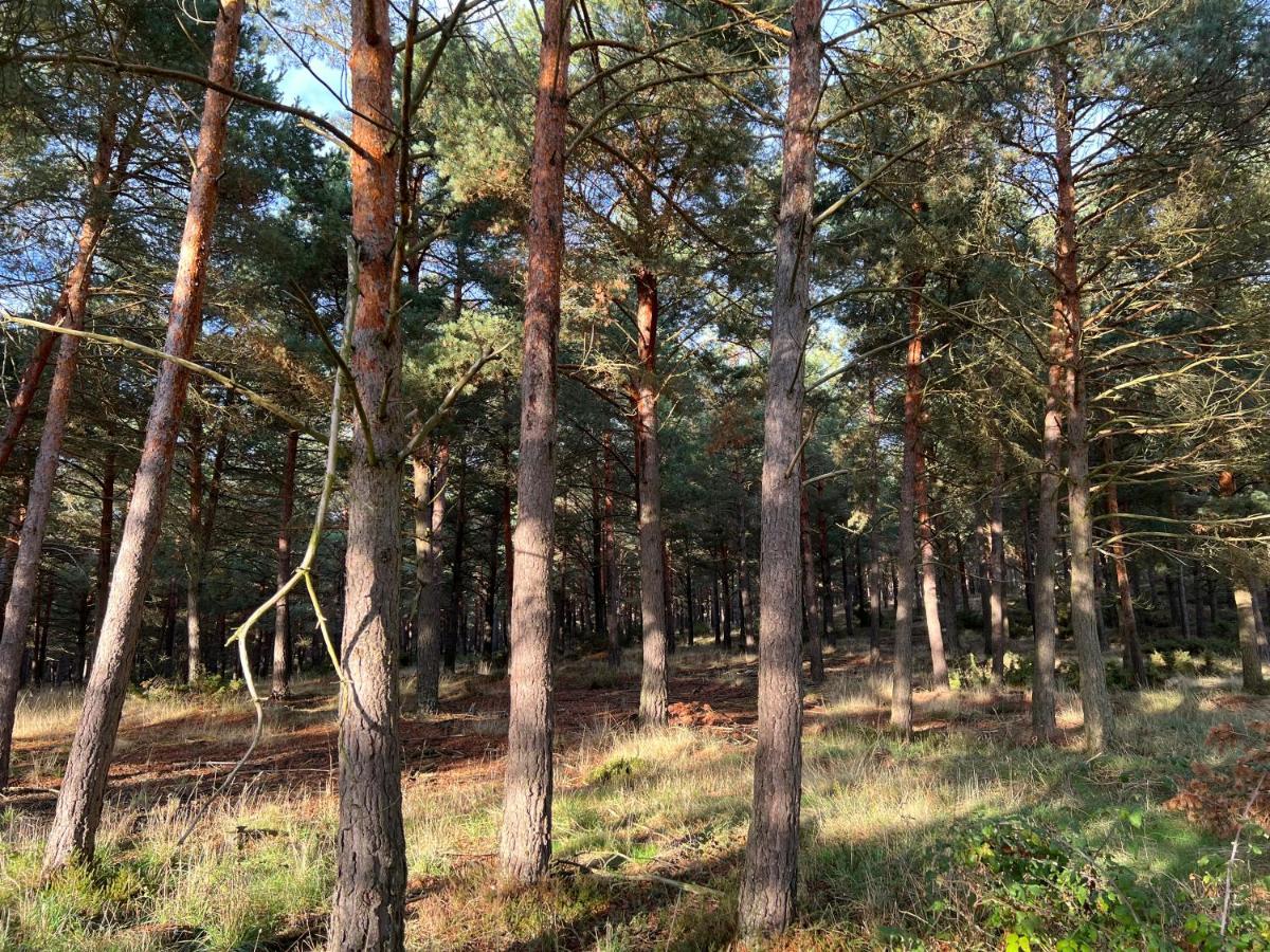El Pecu Casa Rural Starfamiliar Bustillo Del Paramo Εξωτερικό φωτογραφία