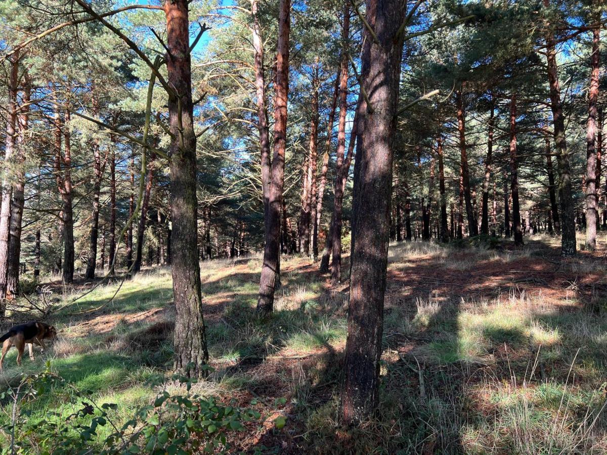 El Pecu Casa Rural Starfamiliar Bustillo Del Paramo Εξωτερικό φωτογραφία
